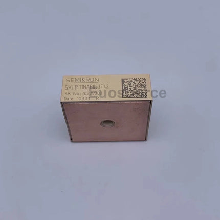 SKIIP11NAB063T42 Semikron IGBT module