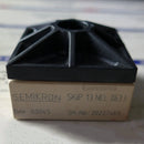 SKIIP13NEL0631 Semikron IGBT module